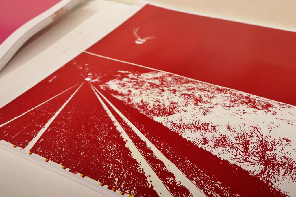 Livro “Identidades: Onde tem gente, tem memória” eterniza histórias e saberes das comunidades onde passa o trem