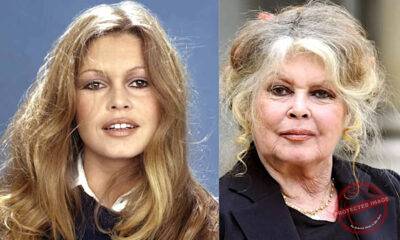 Morre Brigitte Bardot, ícone do cinema e símbolo cultural do século 20, aos 91 anos