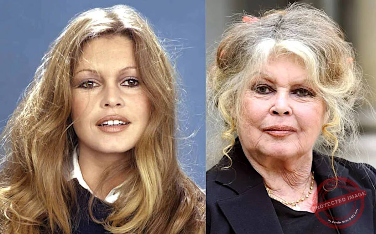 Morre Brigitte Bardot, ícone do cinema e símbolo cultural do século 20, aos 91 anos