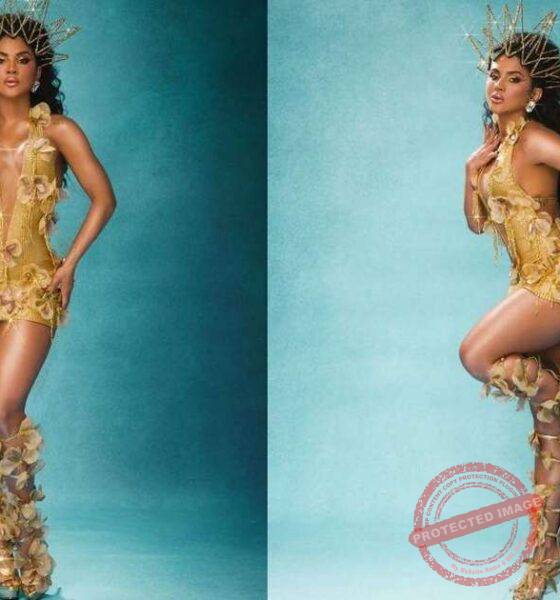 Nutrição das Rainhas de Bateria: Mileide Mihaile explica rotina