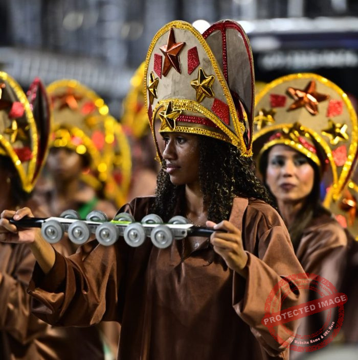 Veja como foi a segunda noite de desfiles da Série Ouro do Carnaval de Vitória
